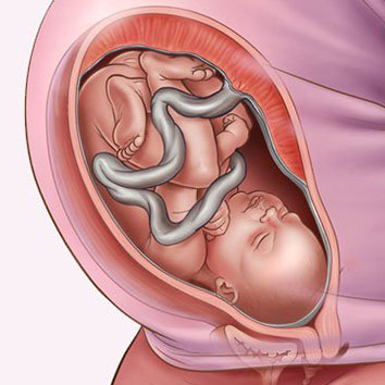 Những thay đổi thai nhi tuần thứ 35