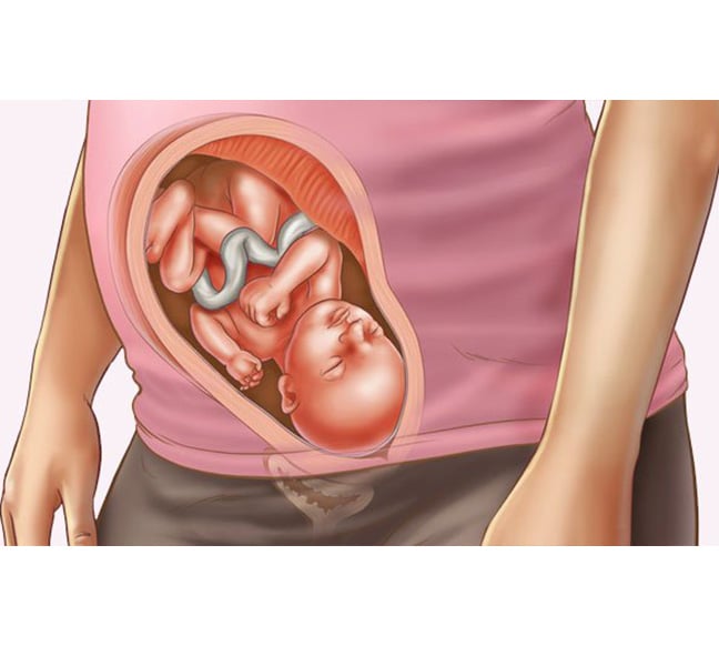 Third Trimester Of Pregnancy, Third Trimester Pregnancy Symptoms - Huggies  India